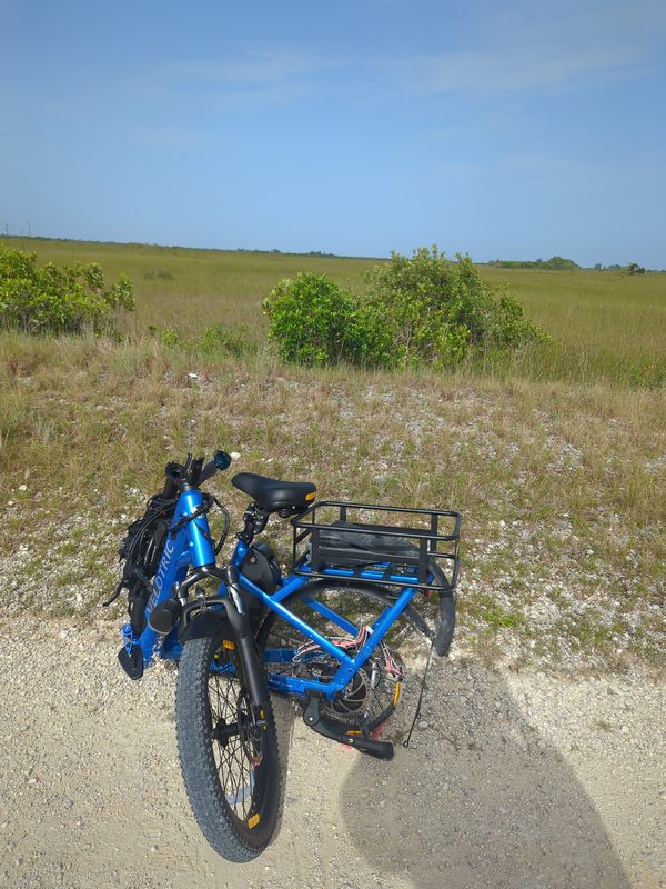 A long, empty limestone levee track through wetland terrain, no vehicles or structures in sight.